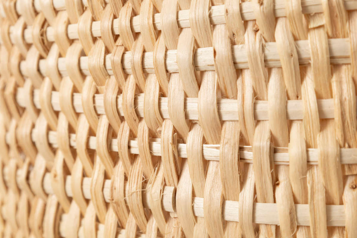 Oval Basket with Handle / Pine Root / LTU 140514