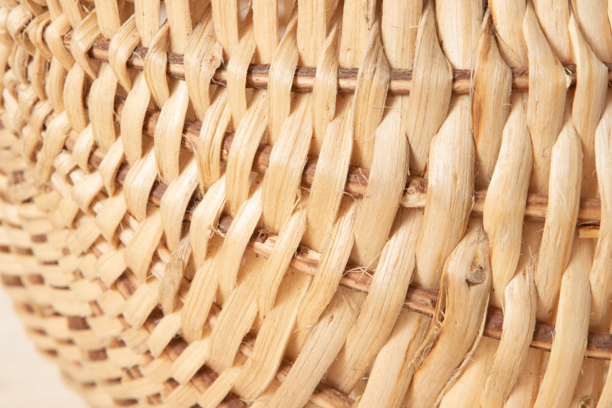 Round Basket with Handle / Pine Root / POL 340222-1
