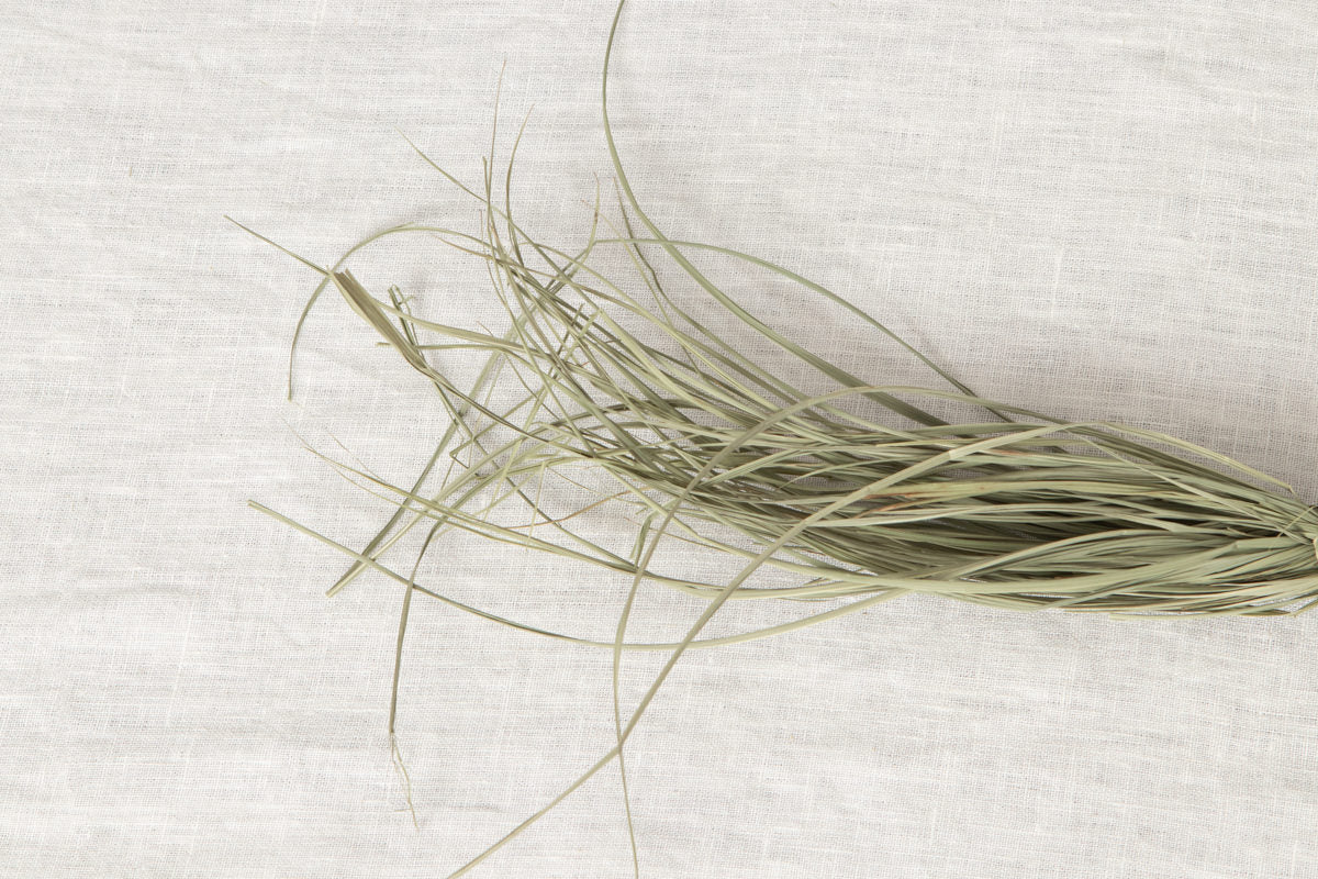 Shimekazari "Gobō" / Rice straw / Tōkyō-JPN 250921