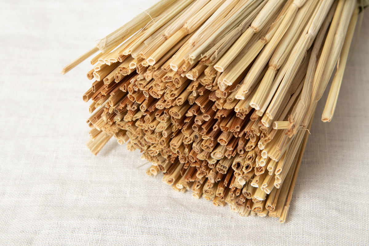 Shimekazari "Gobō" / Rice straw / Tōkyō-JPN 250921