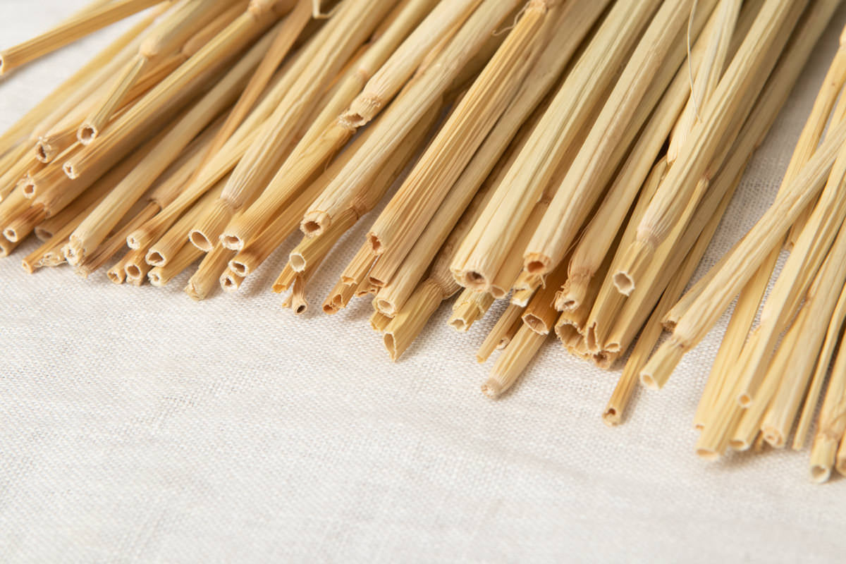 Shimekazari “Tama” XS,S,M,L,XL 5sizes / Rice straw / Tōkyō-JPN 250922