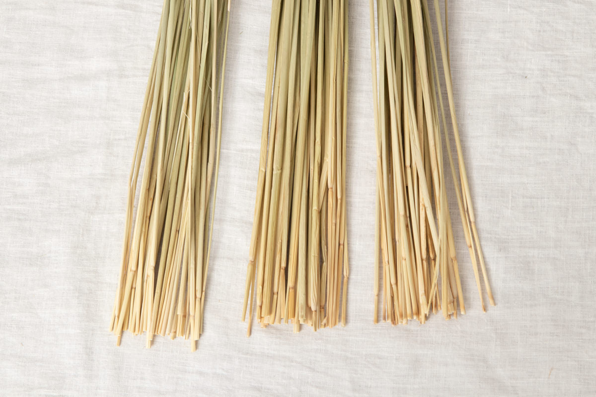 Shimekazari “Tama” XS,S,M,L,XL 5sizes / Rice straw / Tōkyō-JPN 250922