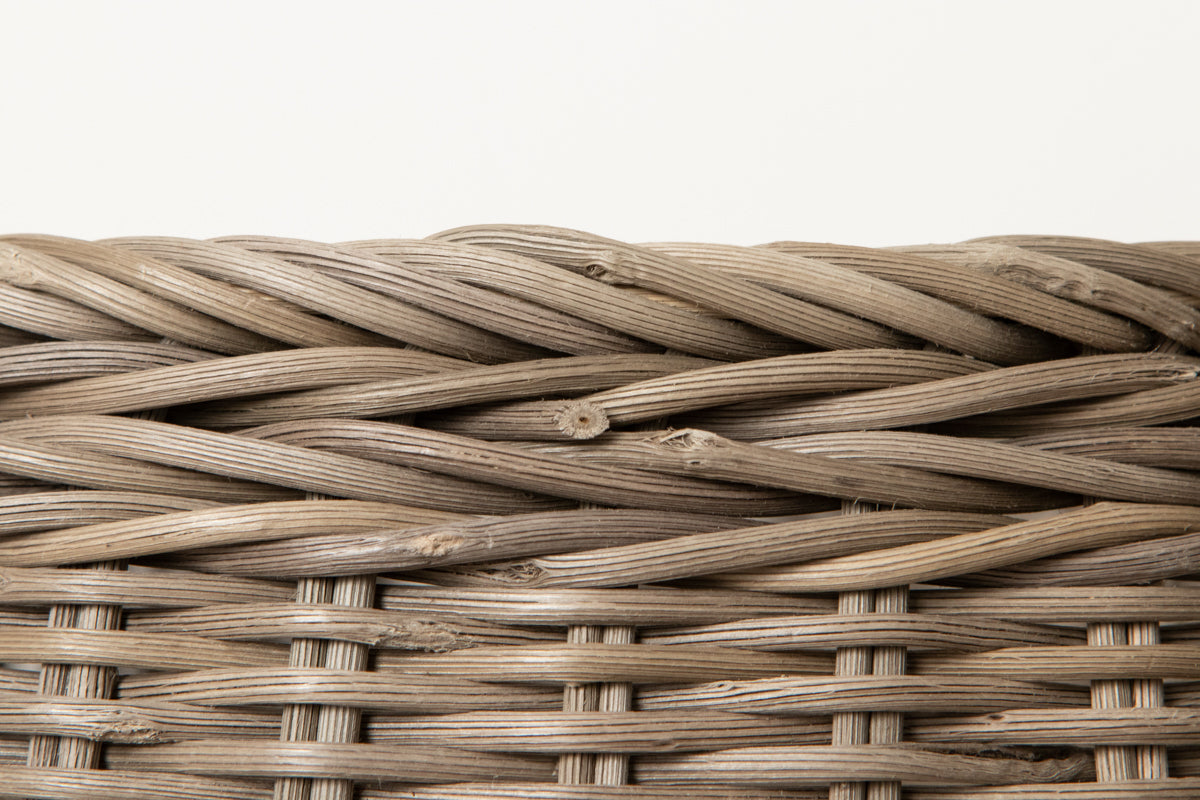 Bread Basket / Gray Akebi Vine / Nagano-JPN 311251-1