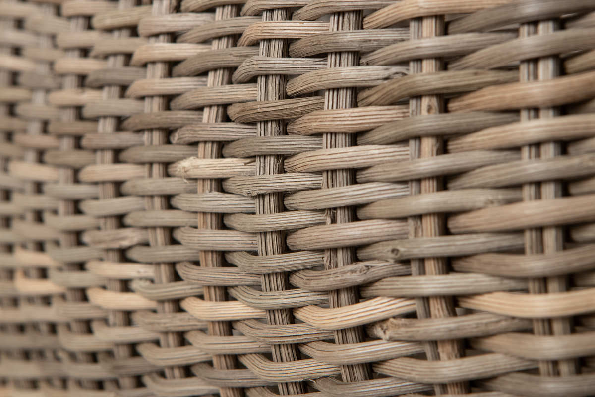 Bread Basket / Gray Akebi Vine / Nagano-JPN 311251-1