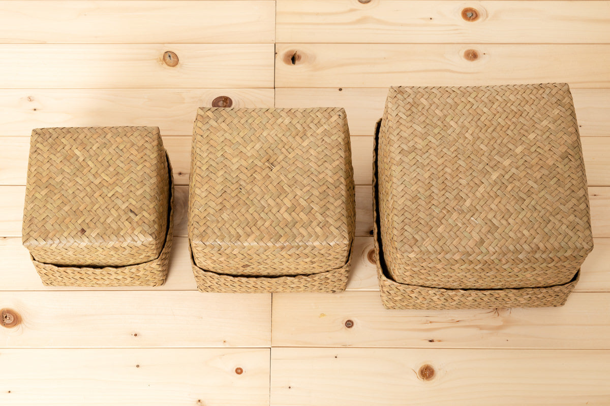 Compact organaizing basket with lid “Cube” S, M, L / Kachū /THA 3115128