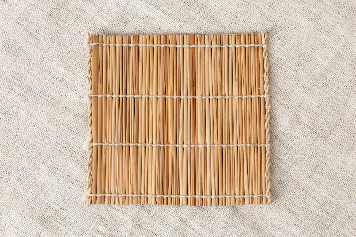 Coaster / Shell ginger / Taketomi island-JPN 230611-1