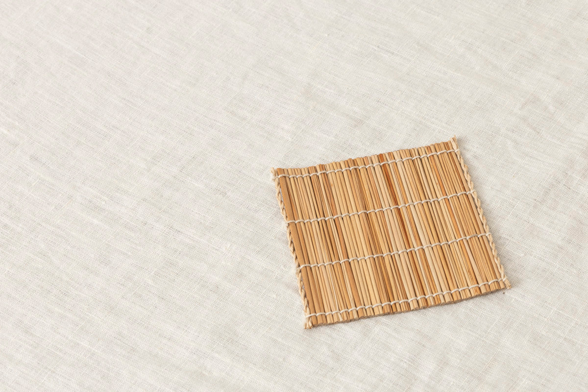 Coaster / Shell ginger / Taketomi island-JPN 230611-1
