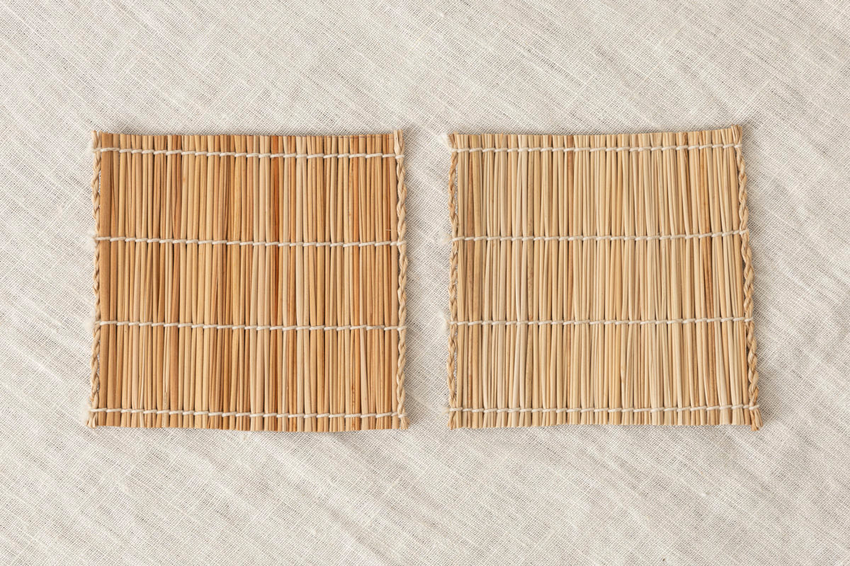 Coaster / Shell ginger / Taketomi island-JPN 230611-1