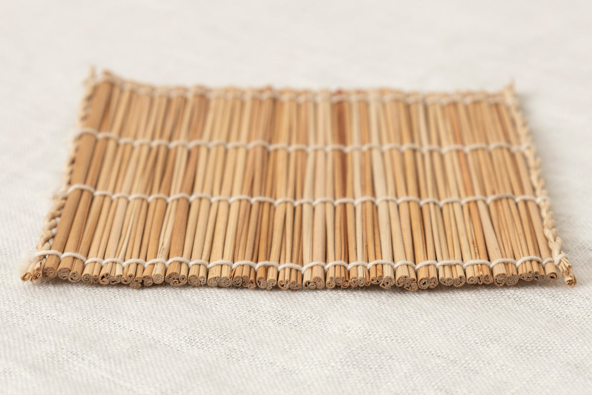 Coaster / Shell ginger / Taketomi island-JPN 230611-1