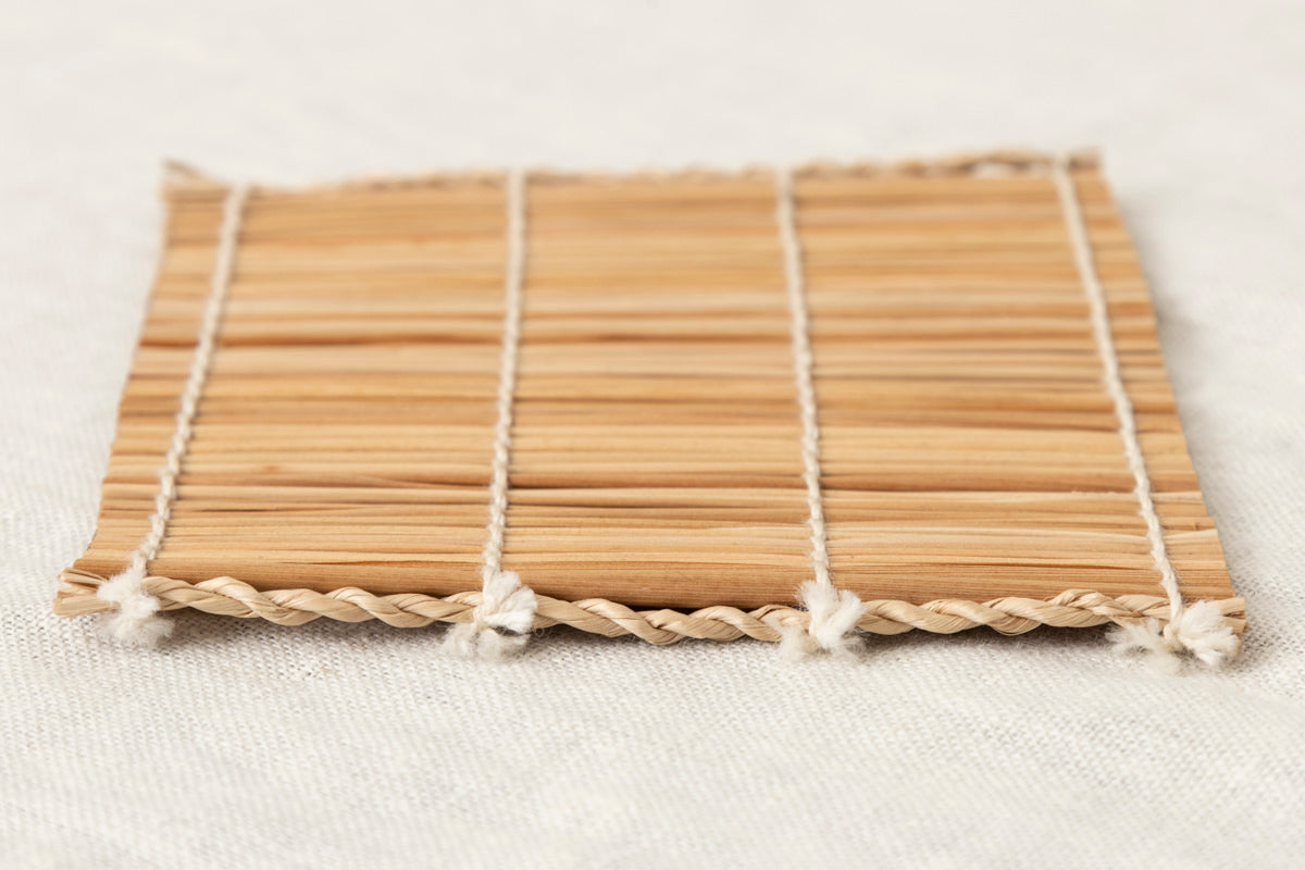 Coaster / Shell ginger / Taketomi island-JPN 230611-1