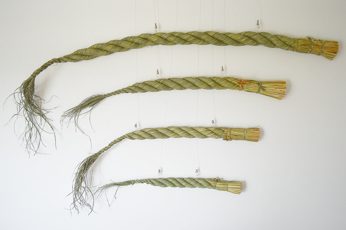 Shimekazari "Gobō" / Rice straw / Tōkyō-JPN 250921