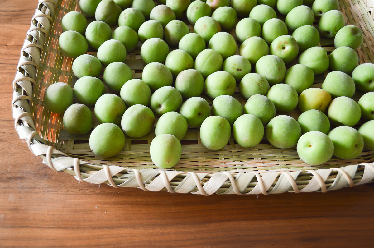 千葉県/真竹(青竹) 干しざる 大 340401-1