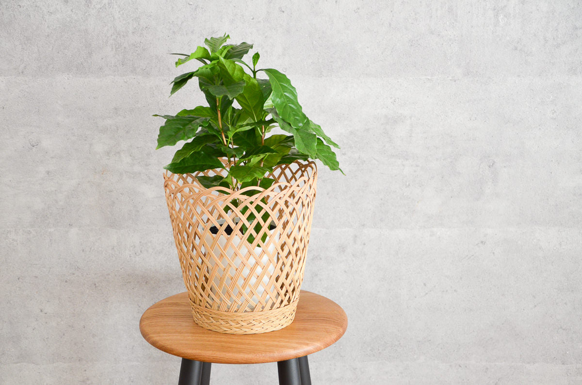 Open Weave Basket / Nypa Palm / THA 3115304-1