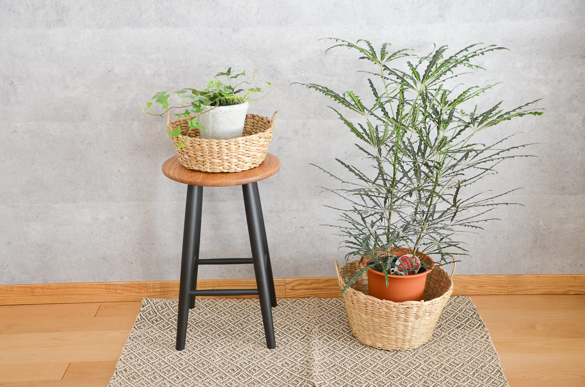 Stock Basket / Kok Grass / THA 3115416