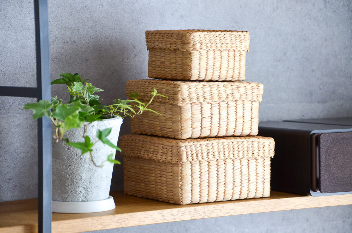 Compact Square Box with Lid / Water Hyacinth / THA 3115211