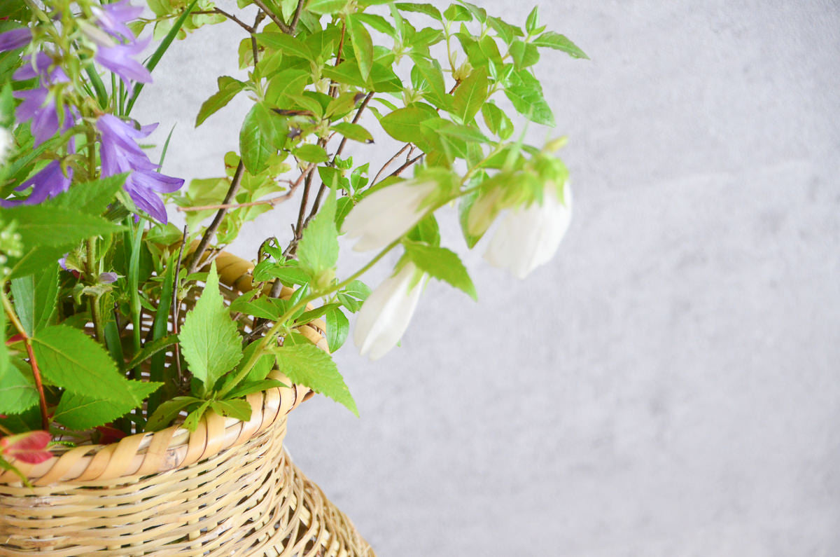 Fish basket, M, L / Nemagari bamboo / Nagano-JPN 610219