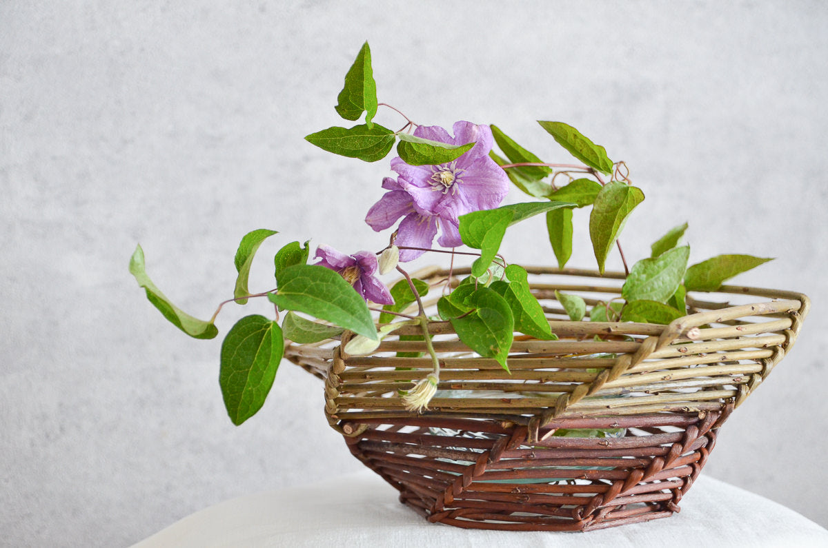 フランス/やなぎ 枝編み果物かご グリーン・レッド タイプ‐1basketry