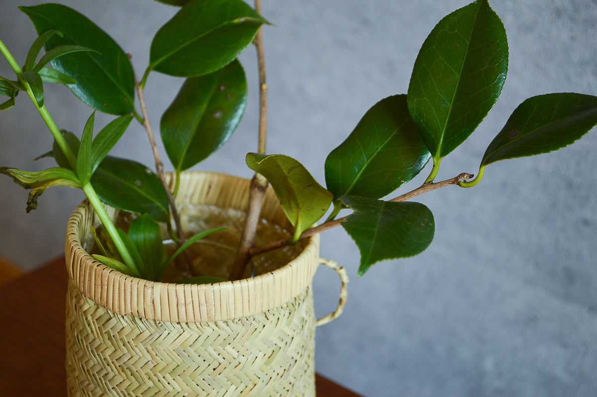 Harvest Basket "Tsuboke" Mini / Suzutake Bamboo / Iwate-JPN 450803-1
