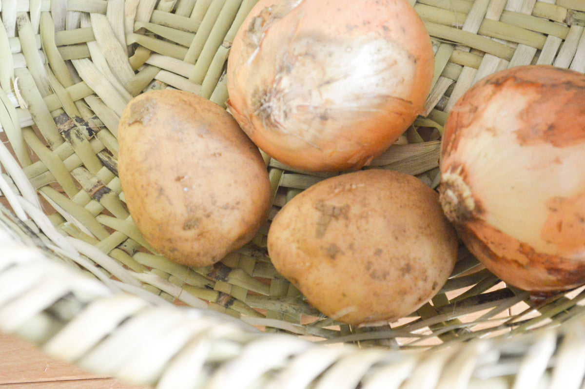 Harvest basket “Paisuke” / Nemagari bamboo / Nagano-JPN 610218-1