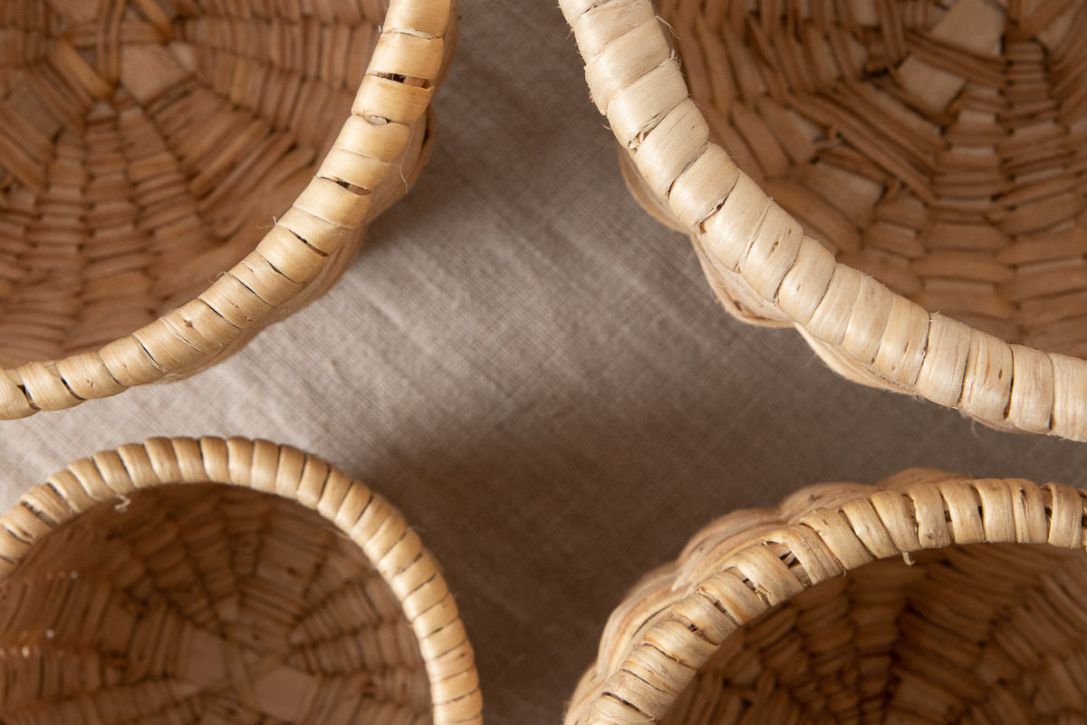 “Zogata” Basket / Pine Root / POL 340206