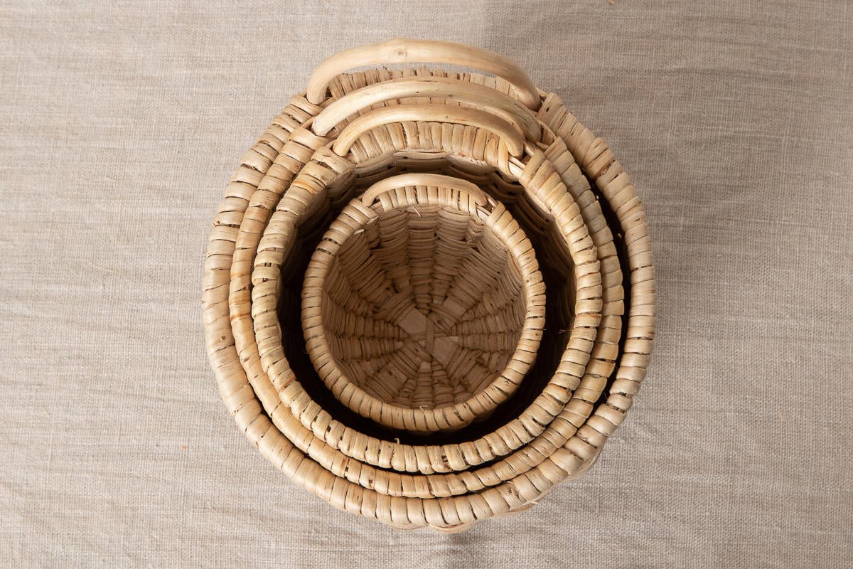 “Zogata” Basket / Pine Root / POL 340206