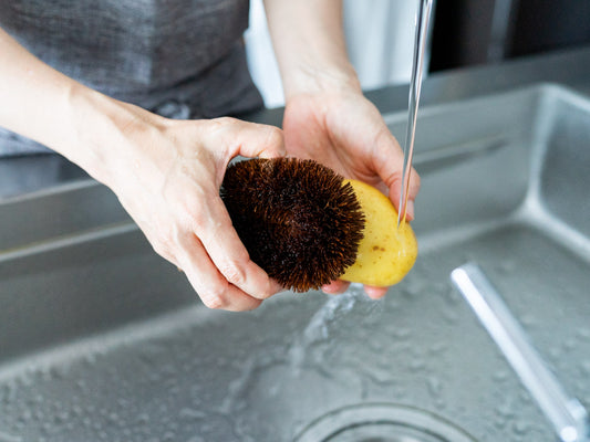 Tawashi Brush / Shuro Palm / Wakayama-JPN 250820