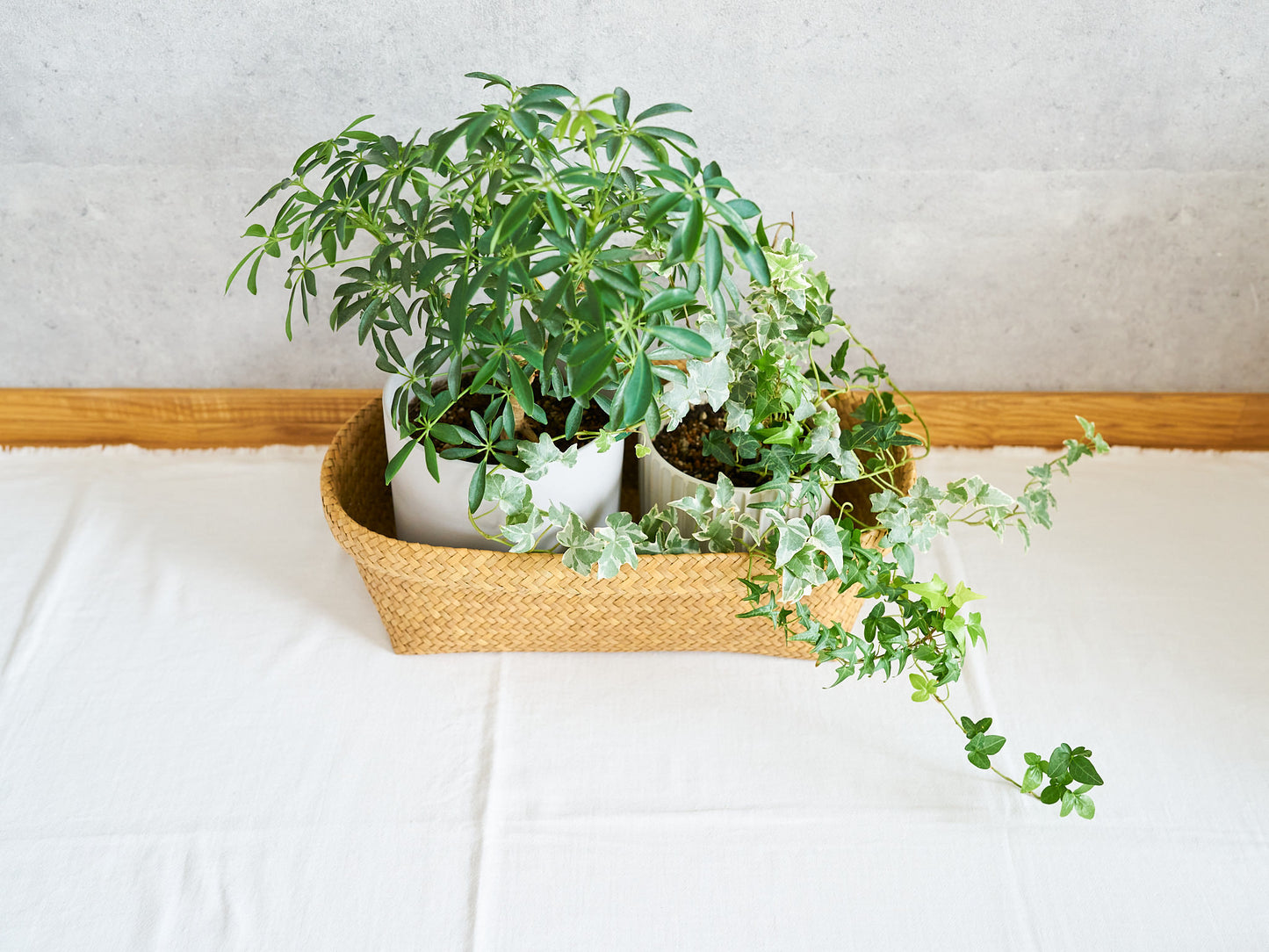 Oval Organizing Basket / Krajood Grass / THA 3115110