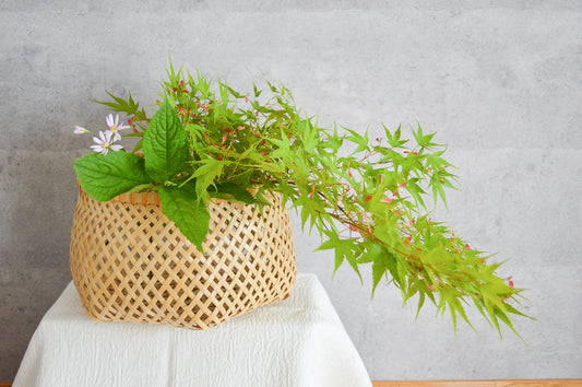 Storage Basket “Tessen Weave” / White Bamboo / Tochigi-JPN 350107-1