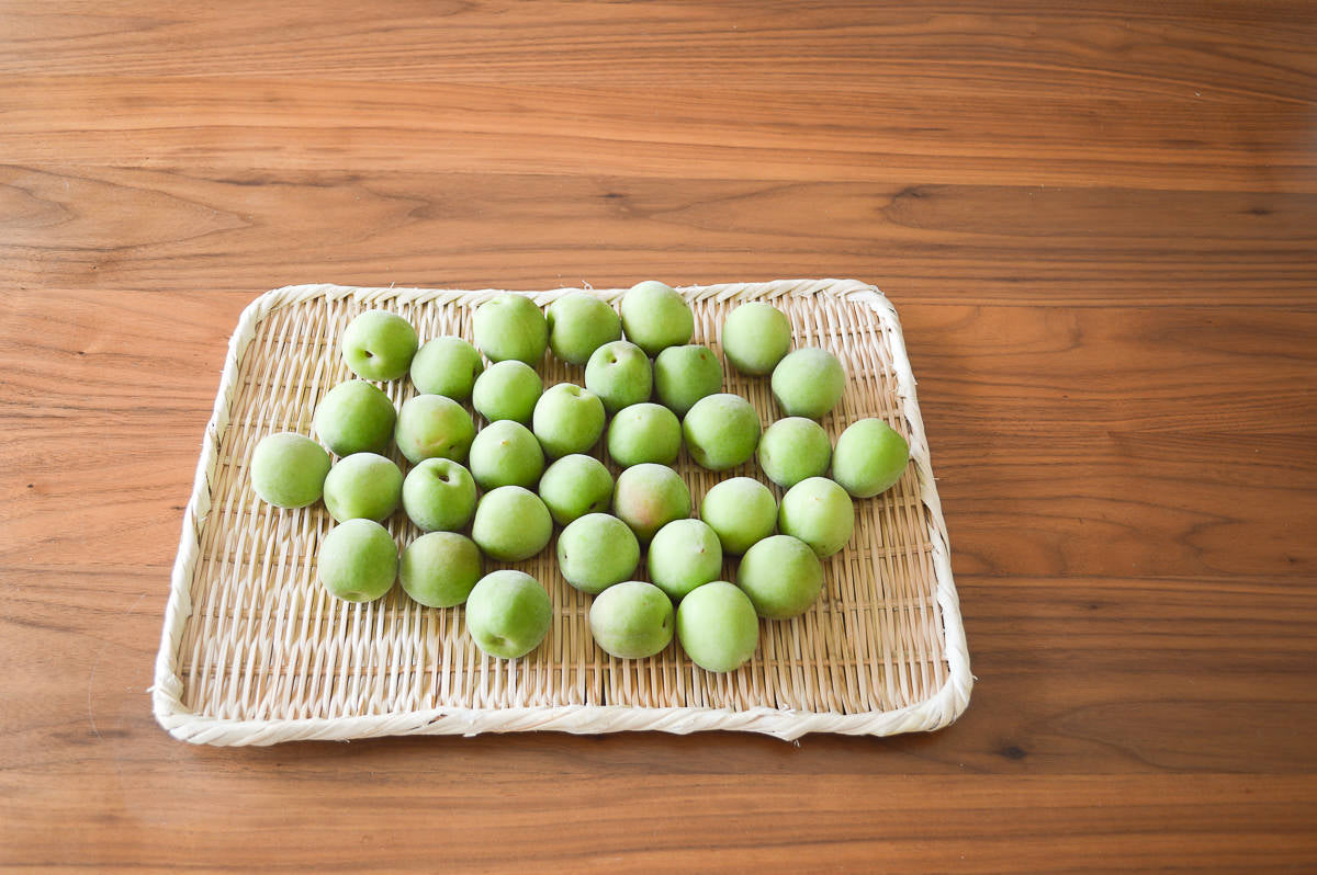 Rectangle plate "Kaku-Bon" larger 4sizes / Bamboo / Nīgata-JPN 650114