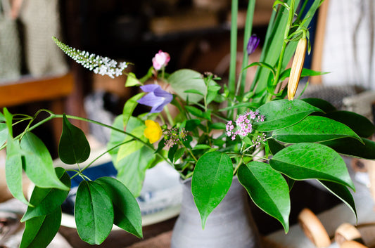 Our Online Shop, Renewed