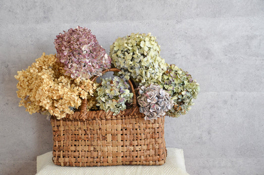 Exhibition — Iwate Sawagurumi Baskets