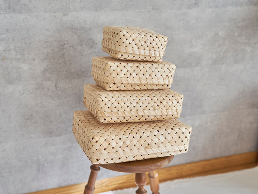 Latest Arrivals – December 24, 2025