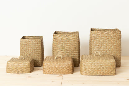 Organizing basket with lid “Acorn” S, M, L / Kachū / THA 3115126