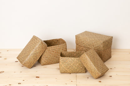 Compact organaizing basket with lid “Rectangle” S, M, L / Kachū /THA 3115129
