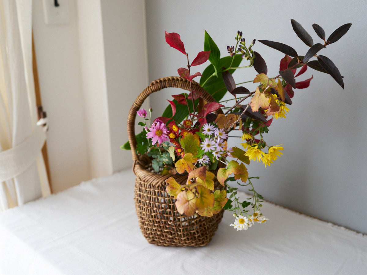 By-Appointment Store Visit – January 2026 (Mon & Wed Only)　202601