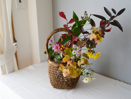 2026年1月分　【無料】  毎週月・水　ご来店予約　202601