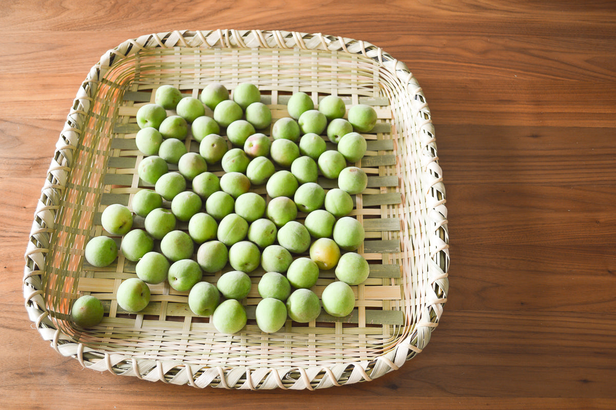Square / Rectangular – 市川籠店 | 1basketry