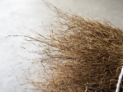 [Direct Shipping from Wakayama / Business Addresses Only / Japan Only] Black Bamboo “Kuroho” / Wakayama-JPN 211332-1