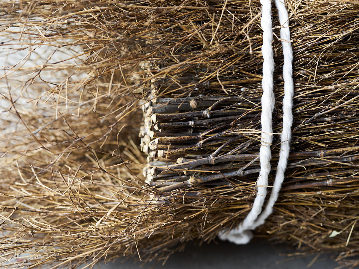 [Direct Shipping from Wakayama / Business Addresses Only / Japan Only] Black Bamboo “Kuroho” / Wakayama-JPN 211332-1