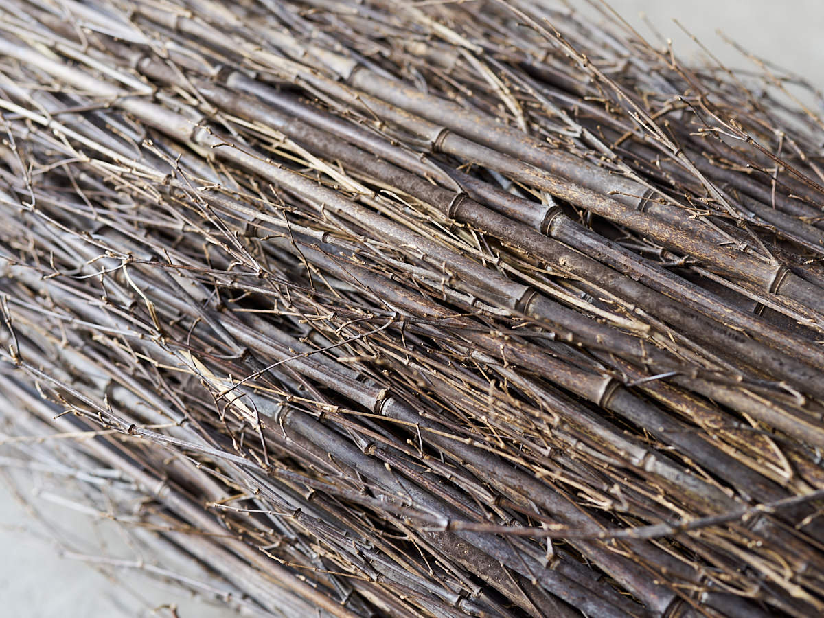 [Direct Shipping from Wakayama / Business Addresses Only / Japan Only] Black Bamboo “Nagaho” & “Futo-Nagaho” – Approx. 220 cm (86.61") / 18 kg (39.68 lb), 2 Types / Wakayama-JPN 211331