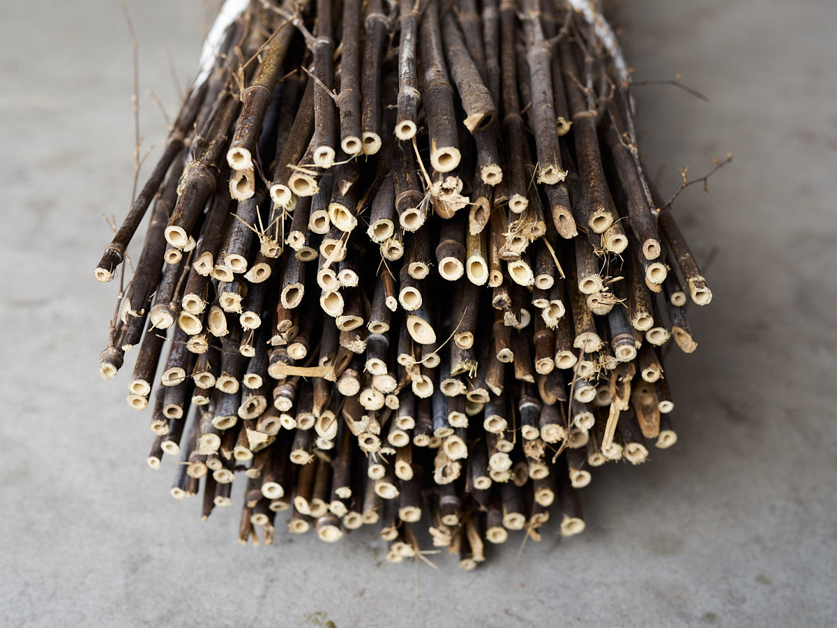 [Direct Shipping from Wakayama / Business Addresses Only / Japan Only] Black Bamboo “Nagaho” & “Futo-Nagaho” – Approx. 220 cm (86.61") / 18 kg (39.68 lb), 2 Types / Wakayama-JPN 211331