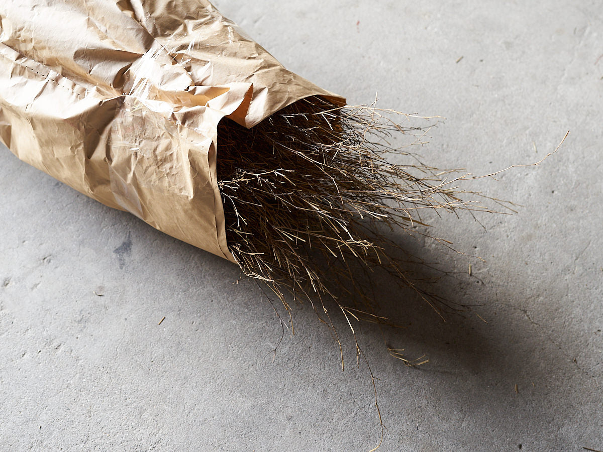 [Direct Shipping from Wakayama / Business Addresses Only / Japan Only] Black Bamboo “Nagaho” & “Futo-Nagaho” – Approx. 220 cm (86.61") / 18 kg (39.68 lb), 2 Types / Wakayama-JPN 211331