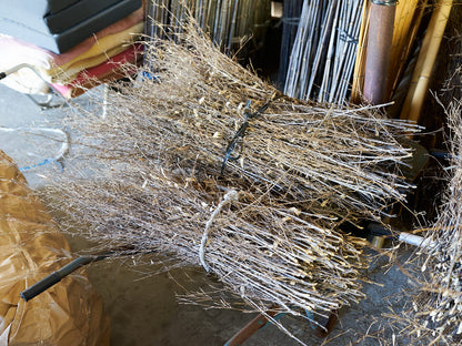 [Direct Shipping from Wakayama / Business Addresses Only / Japan Only] Black Bamboo “Kuroho” / Wakayama-JPN 211332-1