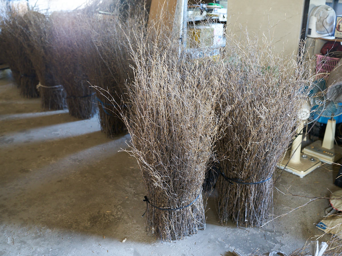 [Direct Shipping from Wakayama / Business Addresses Only / Japan Only] Black Bamboo “Kuroho” / Wakayama-JPN 211332-1