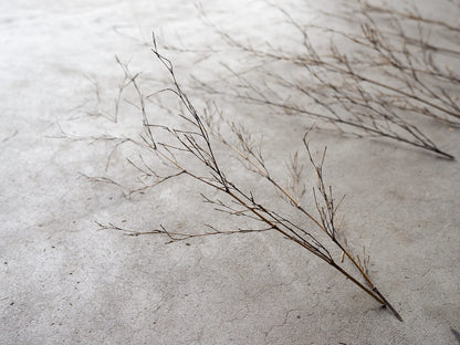[Direct Shipping from Wakayama / Japan Only] Black Bamboo Branches – 1, 2, 3, 5, or 10 Pieces / Wakayama-JPN 211341