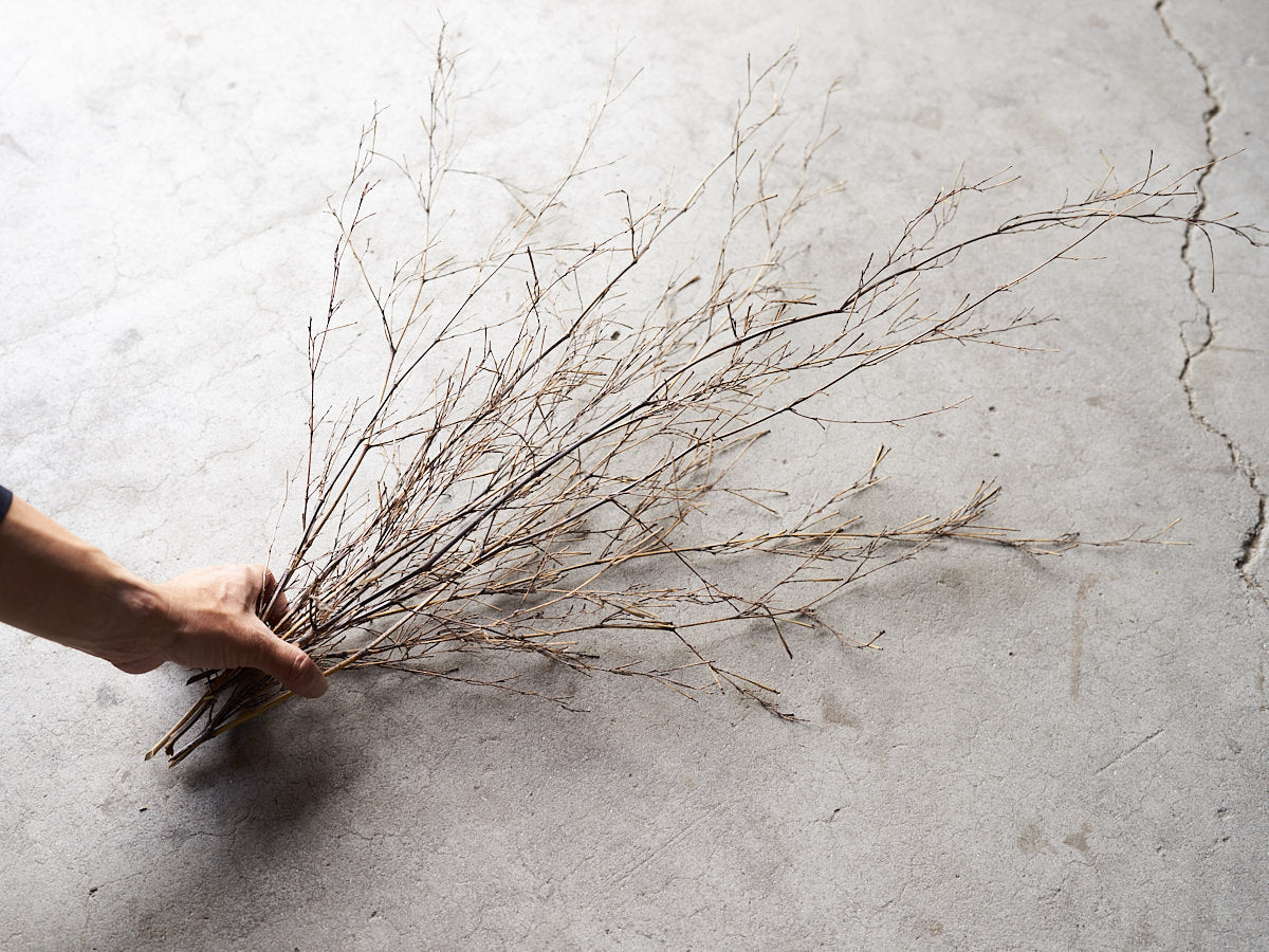 [Direct Shipping from Wakayama / Japan Only] Black Bamboo Branches – 1, 2, 3, 5, or 10 Pieces / Wakayama-JPN 211341