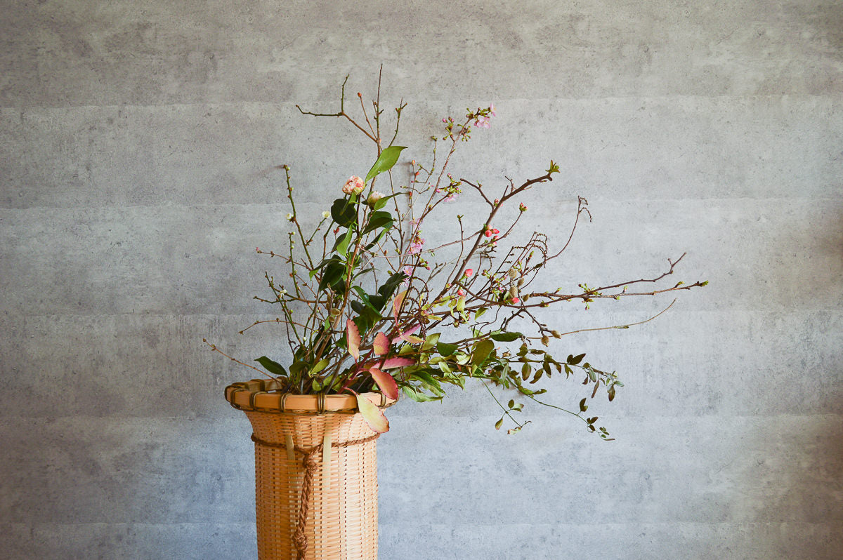 Flower Basket / Madake Bamboo / Oita-JPN 220625-1