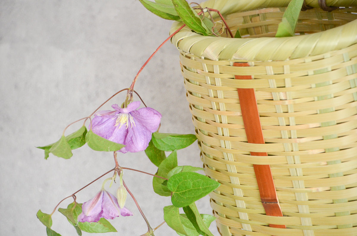 Wall Basket Rolled Rim / Madake Bamboo / Oita-JPN 220634-1