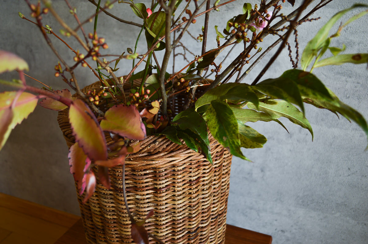Straight Basket / Akebi Vine / Nagano-JPN 311234-1