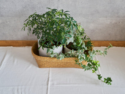 Oval Organizing Basket / Krajood Grass / THA 3115110